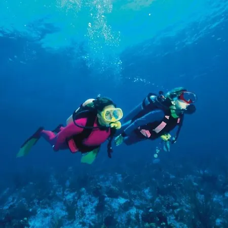 Badine Piscine Balneo Clim 아파트